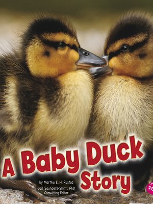A Baby Duck Story - Audiobook